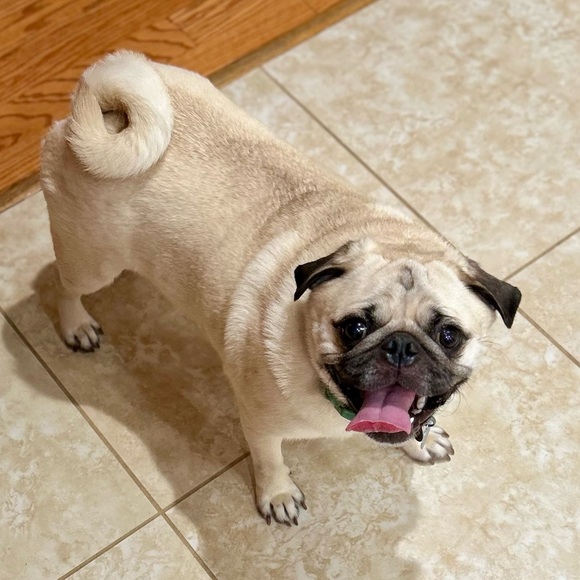 Meet Your Seller! - Picture 2 of 6